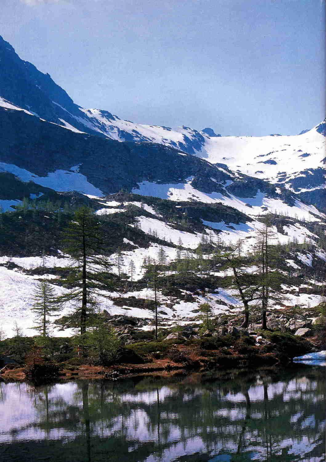 Hotel Tavernier Courmayeur Zewnętrze zdjęcie