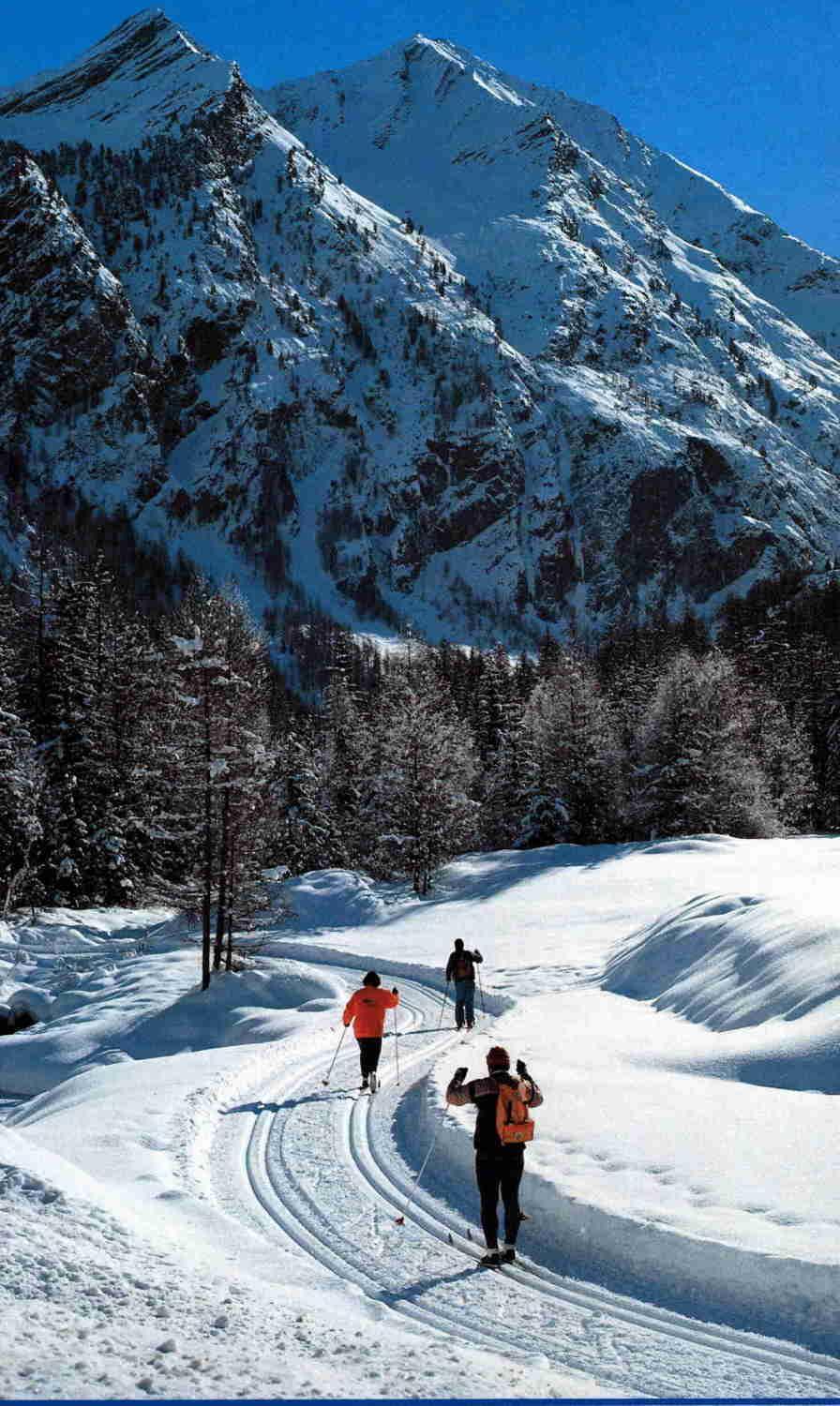 Hotel Tavernier Courmayeur Zewnętrze zdjęcie